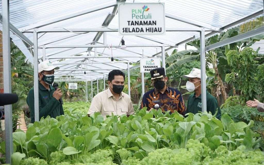 Dorong Efisiensi, Menteri BUMN Dukung Program Electrifying Agriculture PLN