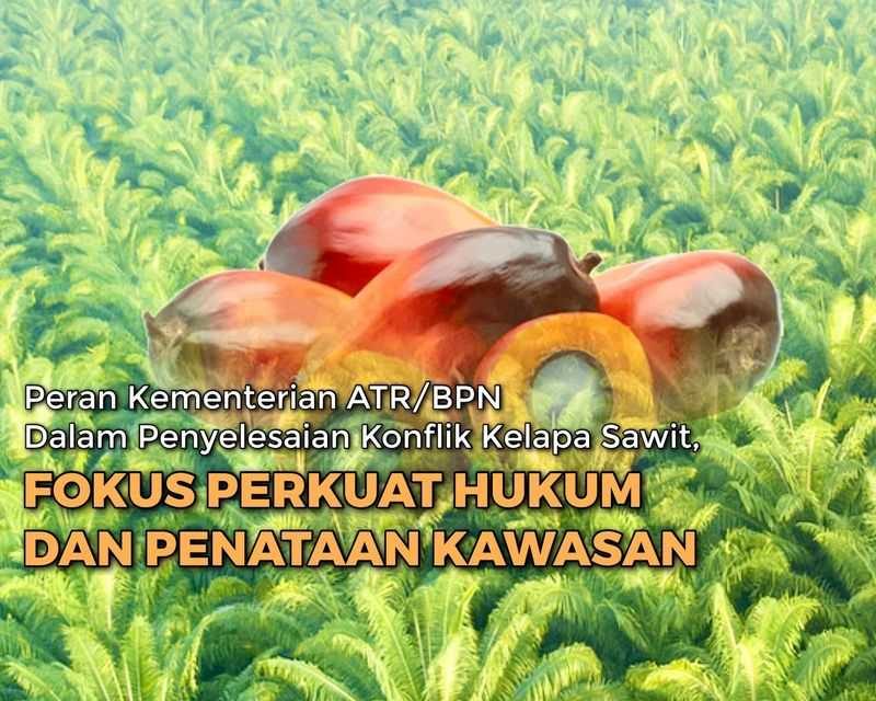 Peran Kementerian ATR/BPN dalam Penyelesaian Konflik Kelapa Sawit, Fokus Perkuat Hukum dan Penataan Kawasan