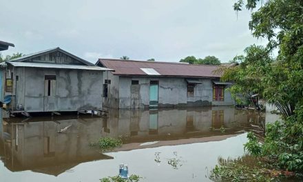 Dipicu Luapan Sungai Kapuas, Sebanyak 1.000 Rumah Warga Sanggau Kalimantan Barat di 5 Kecamatan Terendam Banjir