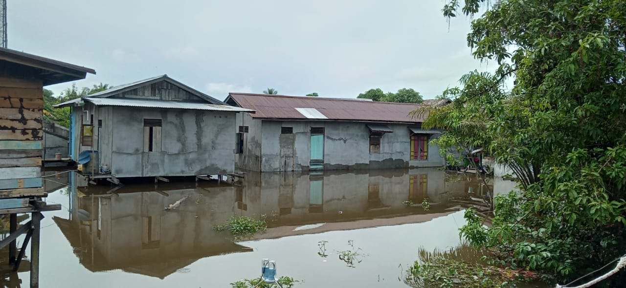 Dipicu Luapan Sungai Kapuas, Sebanyak 1.000 Rumah Warga Sanggau Kalimantan Barat di 5 Kecamatan Terendam Banjir
