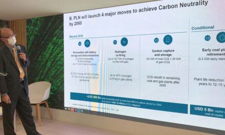 13 Inisiatif PLN Mengurangi 900 Juta Ton Karbon per Tahun