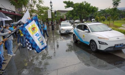 PLN Buktikan Hematnya Pakai Mobil Listrik, 72 Kilometer Hanya Perlu Rp 10.000