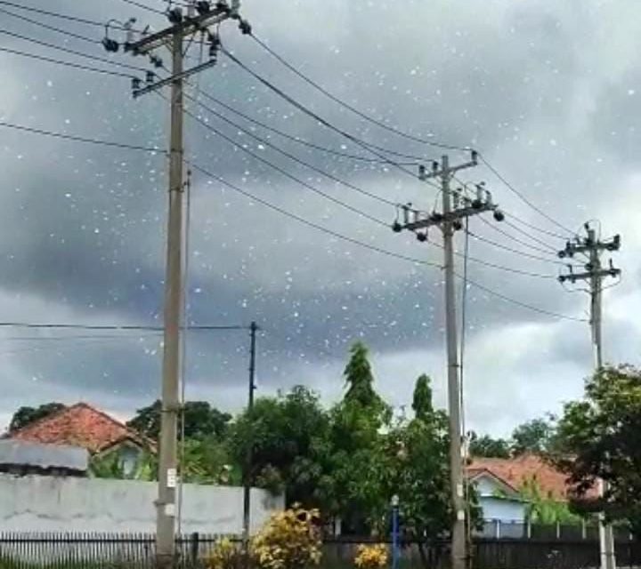 PLN Gerak Cepat Amankan Jaringan Listrik di Cilacap