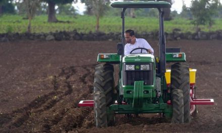 Momen Presiden Jokowi Tanam Jagung Pakai Traktor