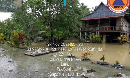 Banjir Landa Warga Luwu Utara Surut, Sawah Seluas 500 Ha Terdampak
