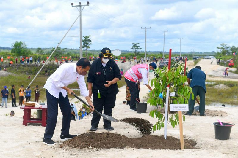 Rehabilitasi Kerusakan Hutan, Presiden Jokowi Tanam Pohon di Area Bekas Tambang