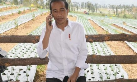 Dengarkan Keluhan Petani Bawang, Presiden Telepon Mendag Soal Impor Bawang