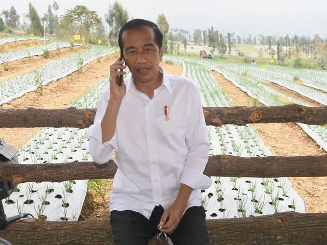 Dengarkan Keluhan Petani Bawang, Presiden Telepon Mendag Soal Impor Bawang