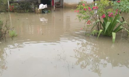 Curah Hujan Tinggi, 150 KK Terdampak Banjir di Kabupaten Lampung Timur