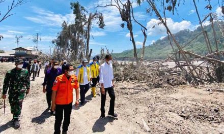 Tinjau Lokasi Erupsi Gunung Semeru, Presiden Pastikan Penanganan Bencana Berjalan Baik