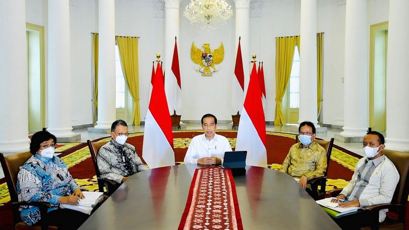 Pemerintah Cabut Ribuan Izin Usaha Tambang, Kehutanan, dan HGU Perkebunan