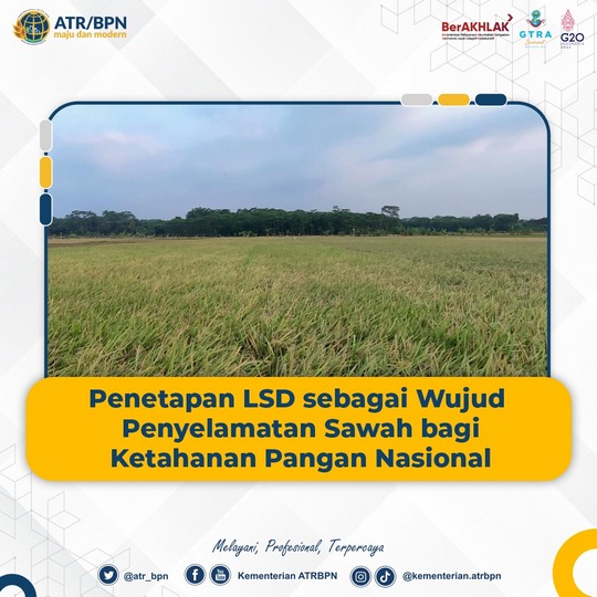 Penetapan LSD sebagai Wujud Penyelamatan Sawah bagi Ketahanan Pangan Nasional