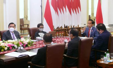 Hadiri WEF, Presiden Jokowi Paparkan Strategi Indonesia Wujudkan Ekonomi Hijau