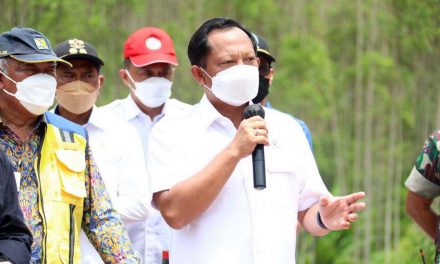 Mendagri: Sistem Pemerintahan IKN Nusantara Setara Provinsi dengan Kekhususan