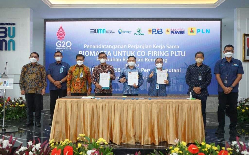 Sinergi PLN dan Perhutani untuk Co-firing Dorong Ekonomi Berbasis Kerakyatan
