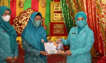 Ketum TP PKK Apresiasi Kemajuan Ekonomi dan Kuliner Pulau Penyengat