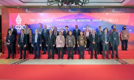 Dirut PLN Ungkap Langkah Nyata Pencapaian Net Zero Emission dalam Forum ETWG-1 G20