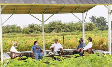 Presiden: Rehabilitasi Lahan Kritis Dimulai dari Pembangunan Persemaian