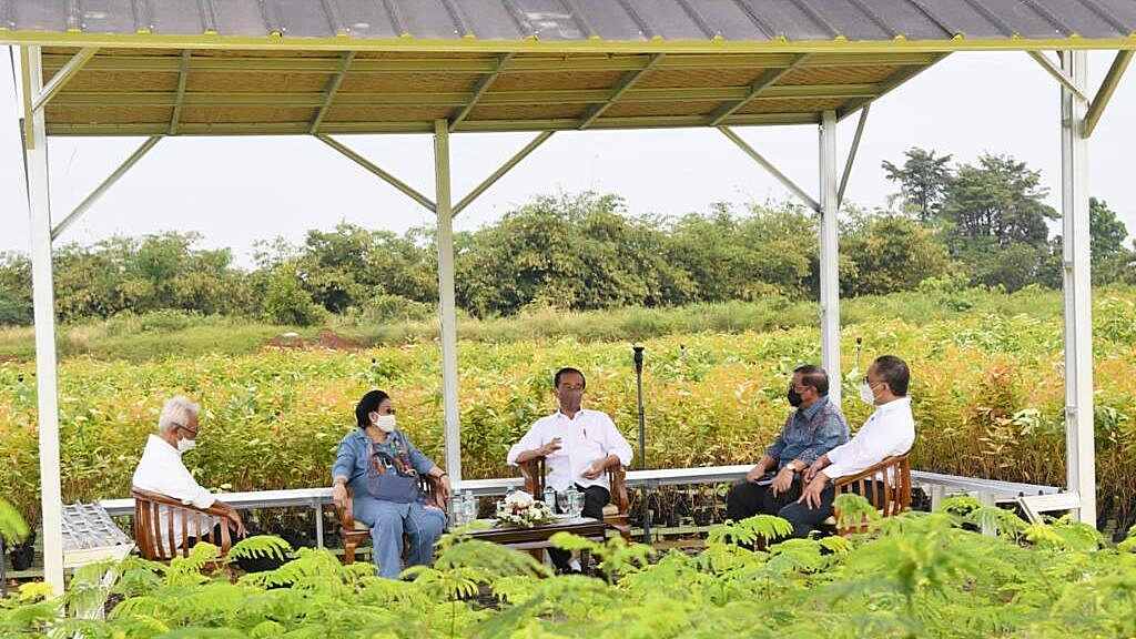 Presiden: Rehabilitasi Lahan Kritis Dimulai dari Pembangunan Persemaian