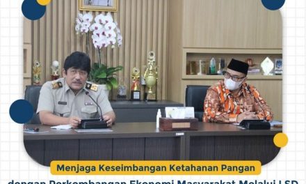 Menjaga Keseimbangan Ketahanan Pangan dengan Perkembangan Ekonomi Masyarakat Melalui LSD