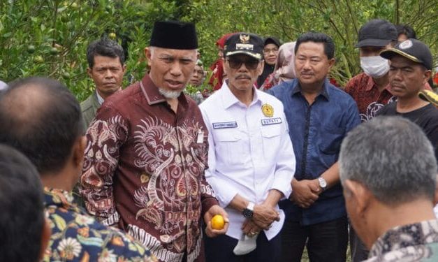Produksi Jeruk Menurun, Mahyeldi-Safaruddin Turlap