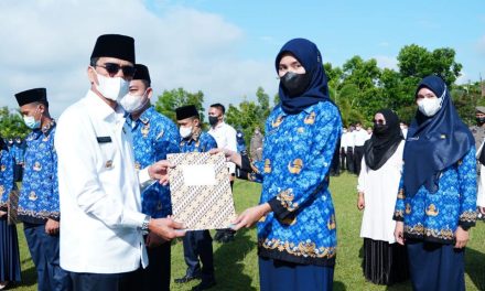 675 CPNS Dan PPPK Lima Puluh Kota Terima SK