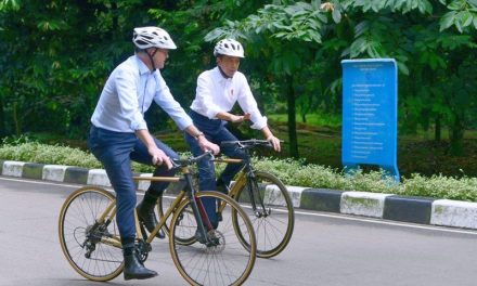 Diplomasi Sepeda Bambu ala Presiden Jokowi