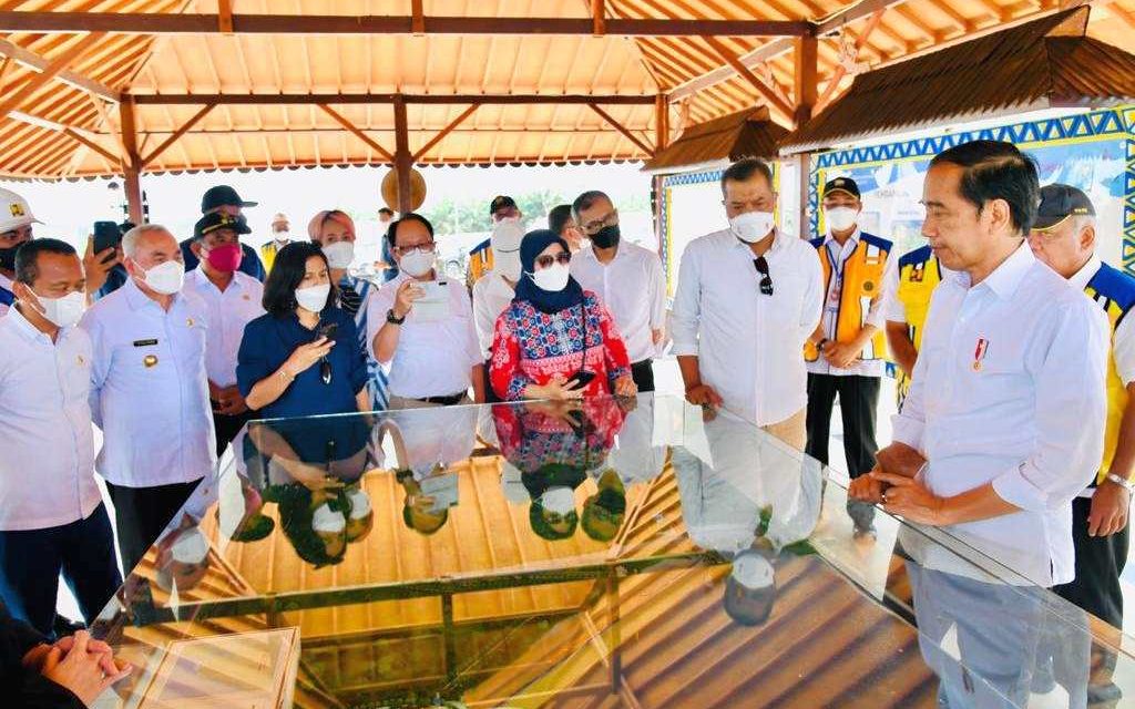Presiden Jokowi Tinjau Progres Pembangunan Bendungan Sepaku Semoi