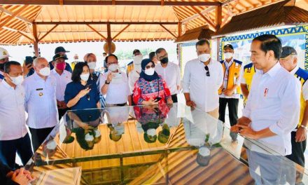 Presiden Jokowi Tinjau Progres Pembangunan Bendungan Sepaku Semoi