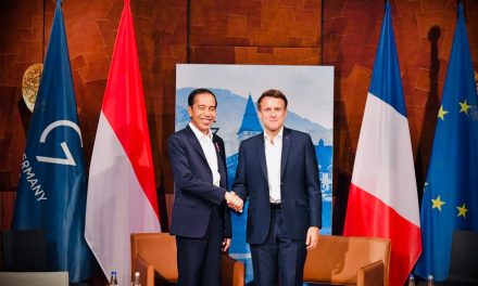 Presiden Jokowi Bahas Situasi Ukraina dengan Presiden Macron