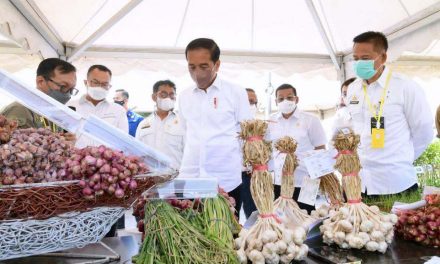 Pastikan Ketersediaan Pangan, Presiden Tinjau Balai Besar Penelitian Tanaman Padi di Subang