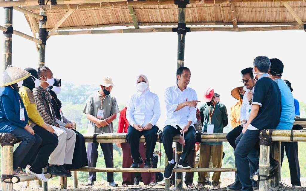 Presiden Jokowi Ingatkan Petani Rawat Kelapa Genjah