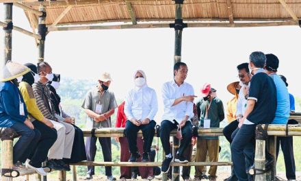 Presiden Jokowi Ingatkan Petani Rawat Kelapa Genjah