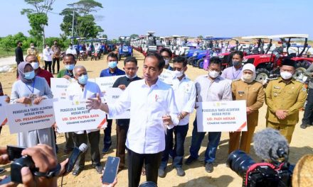 Presiden Jokowi Luncurkan Lumbung Pangan Berbasis Mangga dan Taksi Alsintan di Kabupaten Gresik
