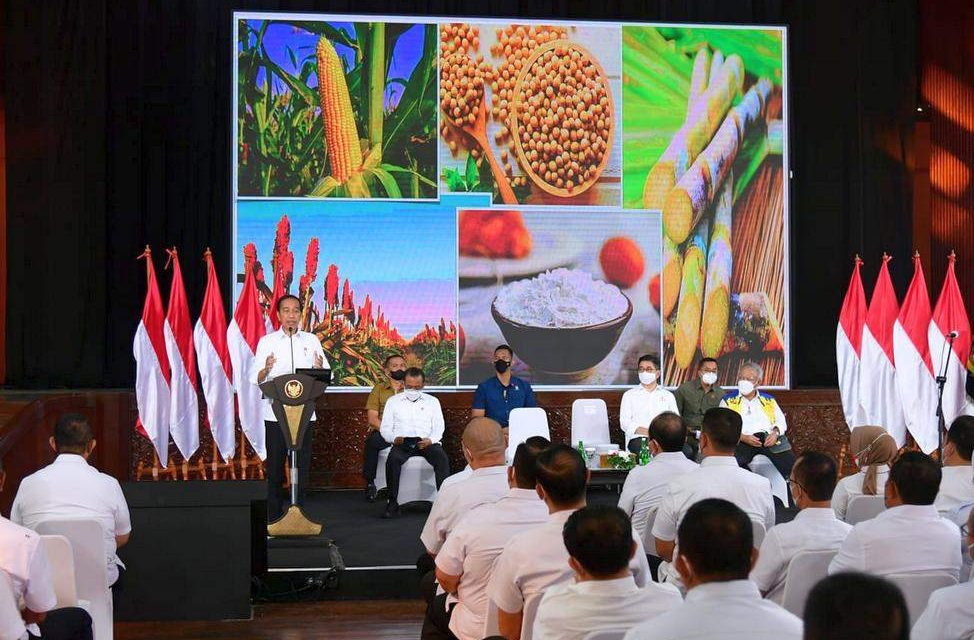 Presiden Jokowi: Manfaatkan Peluang dalam Kesulitan