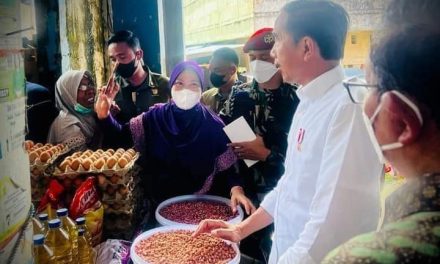 Harga Kopra Turun, Presiden Jokowi: Harga Komoditas Ditentukan Pasar Internasional