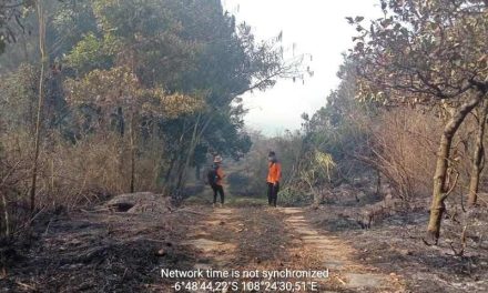Hutan dan Lahan Seluas 95 Hektar di Gunung Ciremai Dilumat ’Si Jago Merah’, Api Kembali Menyala