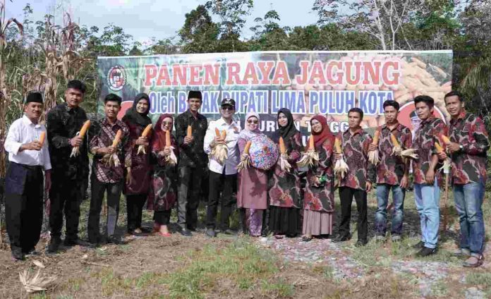 Bupati Safaruddin Resmikan Fasilitas Air Bersih Dan Pengerjaan Jalan Saat Kunker Ke Kapur IX