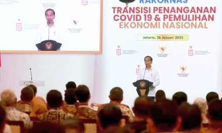 Presiden Paparkan Sejumlah Langkah Sukses Pemerintah Tangani Pandemi