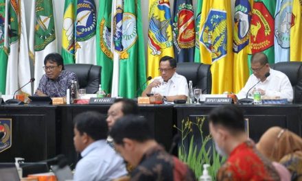 Kendalikan Harga Layanan Penerbangan, Mendagri Minta Pemda Bantu Jaga Keterisian Penumpang