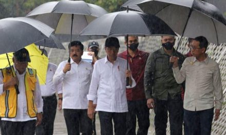 Menteri ATR/Kepala BPN dampingi Presiden melakukan peninjauan titik normalisasi Kali Ciliwung