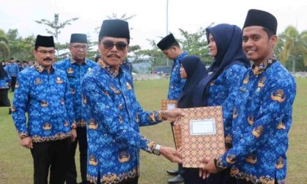 Bupati Safaruddin Serahkan 362 SK PNS Formasi 2019