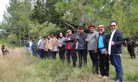 Kunker Hari Kedua, Wamendagri bersama Komisi II DPR RI Tinjau Kawasan Rencana Pusat Pemerintahan Papua Pegunungan