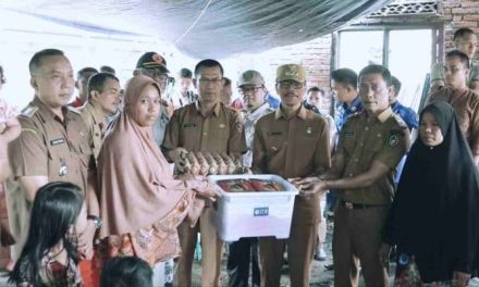 Bupati Safaruddin Tinjau Dan Serahkan Bantuan Kebakaran di Sungai Cubadak