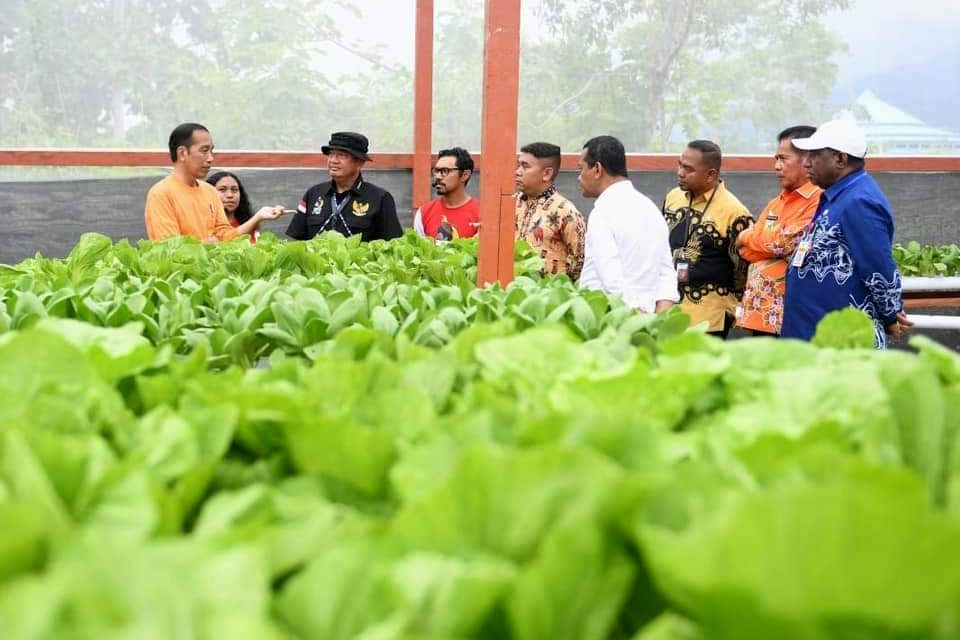 Presiden Jokowi Apresiasi Kegiatan di Waibu Agro Eduwisata