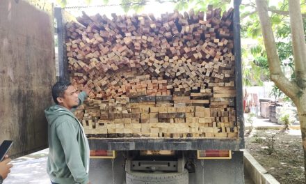 Gakkum KLHK Tangkap Pemilik Kayu Ilegal Kasus Pembalakan Liar Di Solok Selatan
