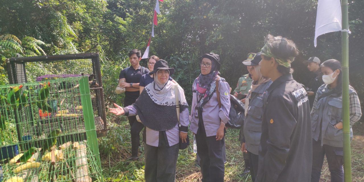 Peringati Hari Konservasi Alam Nasional 2023, BKSDA Kalimantan Barat Dan Mitra Kerja Lepasliarkan Puluhan Satwa Liar