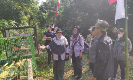 Peringati Hari Konservasi Alam Nasional 2023, BKSDA Kalimantan Barat Dan Mitra Kerja Lepasliarkan Puluhan Satwa Liar