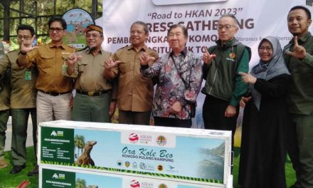 Enam Komodo Pulang Kampung