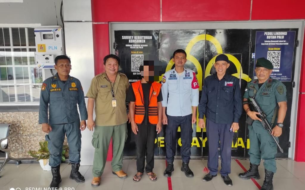 Gakkum KLHK Amankan Truk Bermuatan Kayu Ilegal Di Donggala